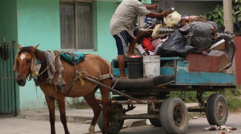🐂 ¡Vuelve la era de la carreta! Nicaragua galopa hacia el pasado con orgullo sandinista