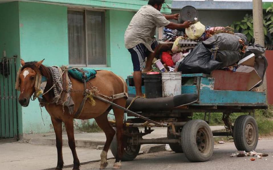 🐂 ¡Vuelve la era de la carreta! Nicaragua galopa hacia el pasado con orgullo sandinista